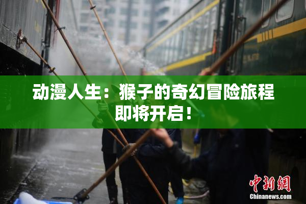 动漫人生：猴子的奇幻冒险旅程即将开启！