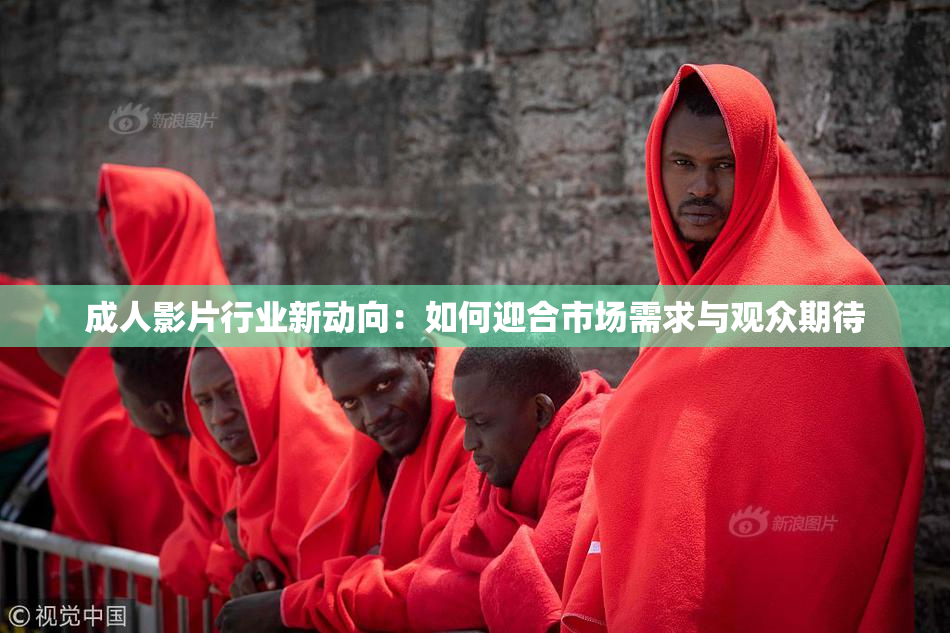 成人影片行业新动向：如何迎合市场需求与观众期待