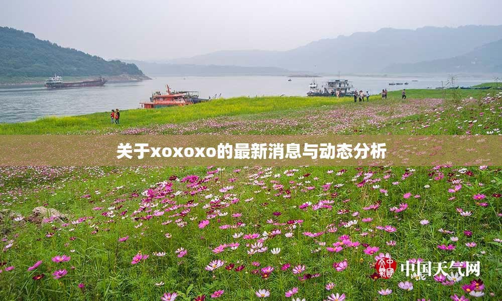 关于xoxoxo的最新消息与动态分析