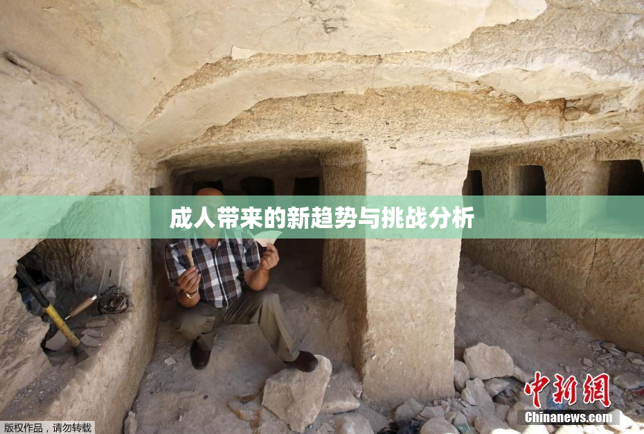 成人带来的新趋势与挑战分析