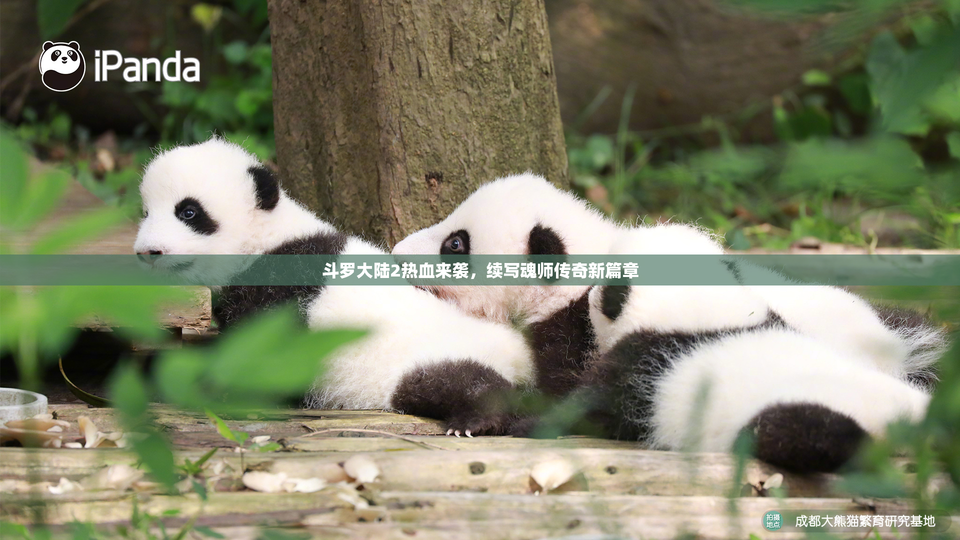 斗罗大陆2热血来袭，续写魂师传奇新篇章