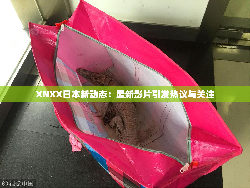 XNXX日本新动态：最新影片引发热议与关注