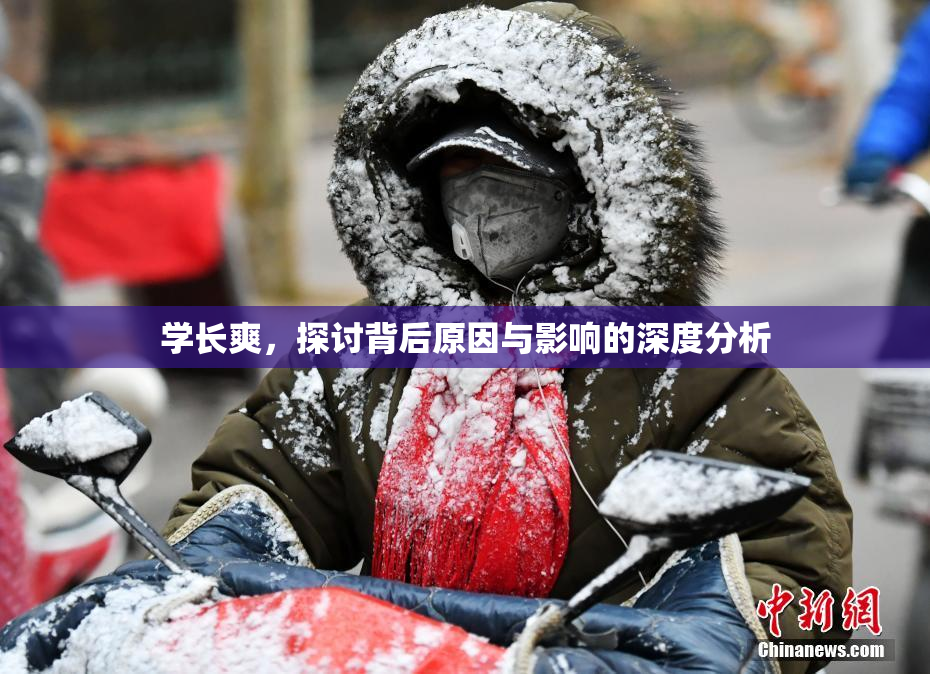 学长爽，探讨背后原因与影响的深度分析