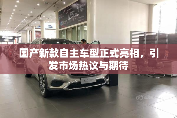 国产新款自主车型正式亮相，引发市场热议与期待