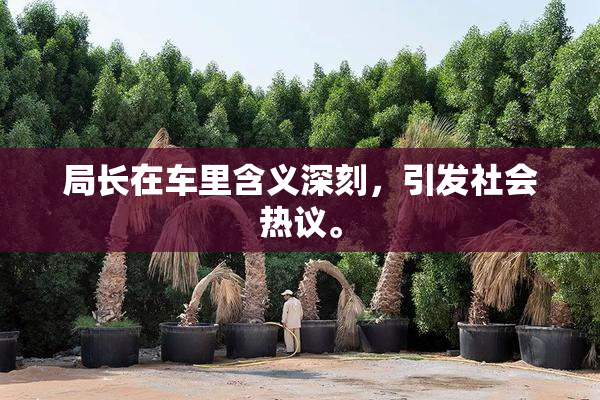 局长在车里含义深刻，引发社会热议。