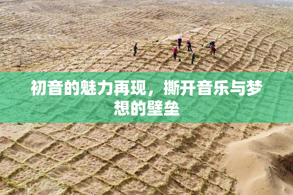 初音的魅力再现，撕开音乐与梦想的壁垒