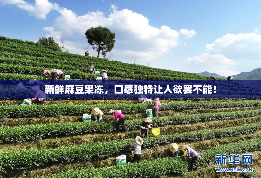 新鲜麻豆果冻，口感独特让人欲罢不能！