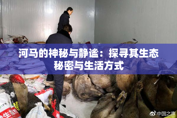 河马的神秘与静谧：探寻其生态秘密与生活方式