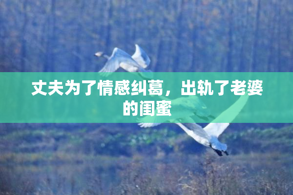 丈夫为了情感纠葛，出轨了老婆的闺蜜