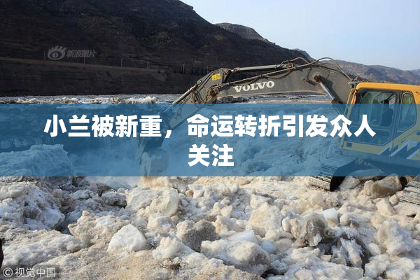 小兰被新重，命运转折引发众人关注
