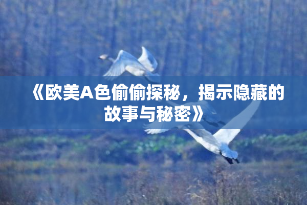 《欧美A色偷偷探秘，揭示隐藏的故事与秘密》