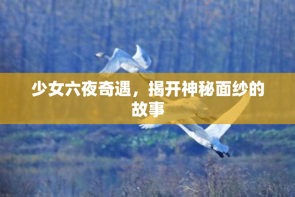少女六夜奇遇，揭开神秘面纱的故事