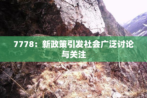 7778：新政策引发社会广泛讨论与关注