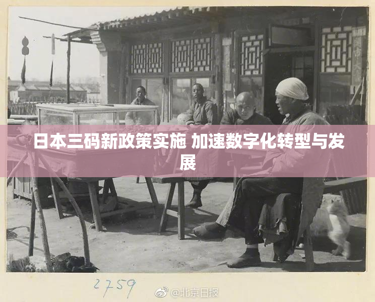 日本三码新政策实施 加速数字化转型与发展