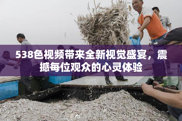 538色视频带来全新视觉盛宴，震撼每位观众的心灵体验
