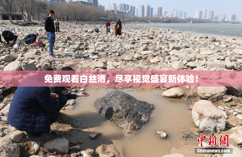 免费观看白丝洛，尽享视觉盛宴新体验！