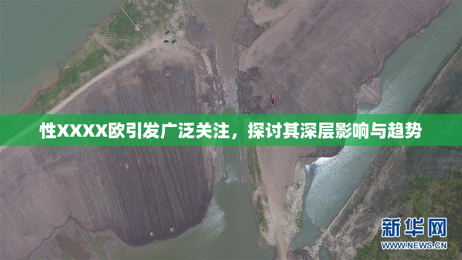 性XXXX欧引发广泛关注，探讨其深层影响与趋势