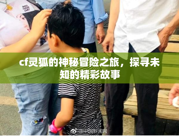 cf灵狐的神秘冒险之旅，探寻未知的精彩故事