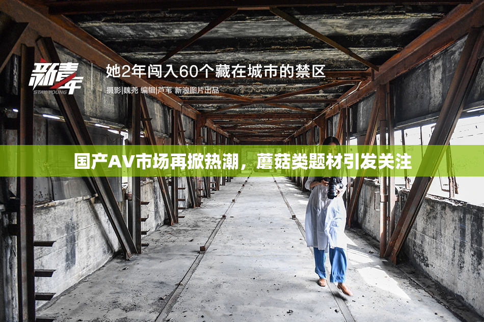 国产AV市场再掀热潮，蘑菇类题材引发关注