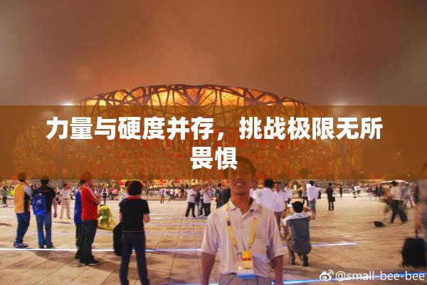 力量与硬度并存，挑战极限无所畏惧