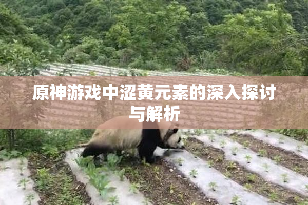 原神游戏中涩黄元素的深入探讨与解析