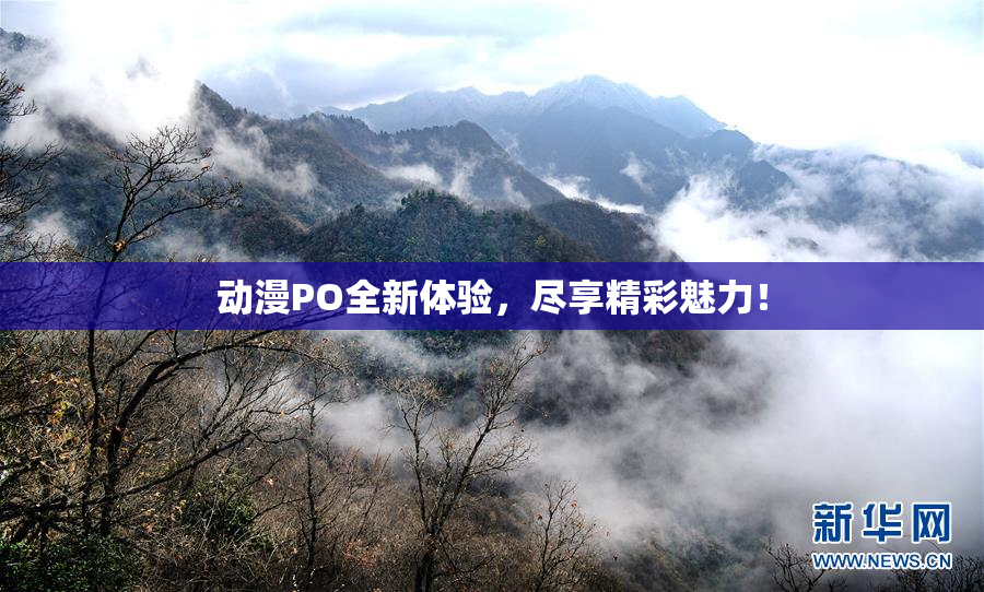 动漫PO全新体验，尽享精彩魅力！