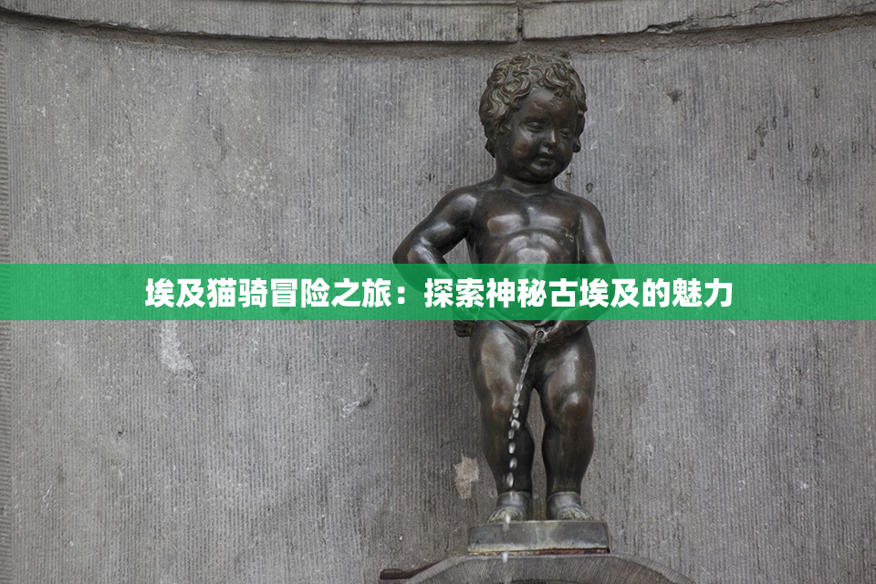 埃及猫骑冒险之旅：探索神秘古埃及的魅力
