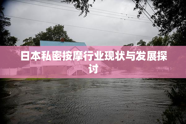 日本私密按摩行业现状与发展探讨