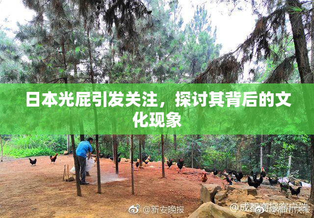 日本光屁引发关注，探讨其背后的文化现象