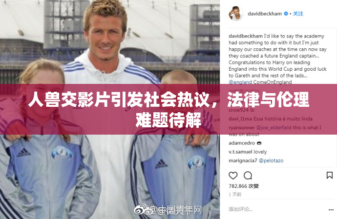 人兽交影片引发社会热议，法律与伦理难题待解