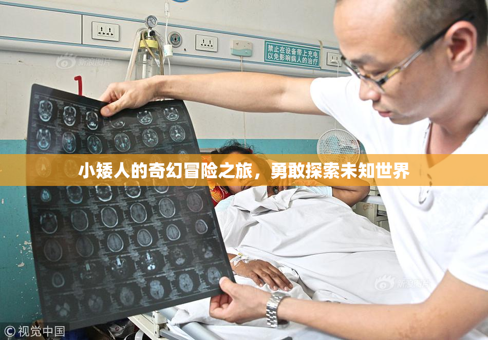 小矮人的奇幻冒险之旅，勇敢探索未知世界