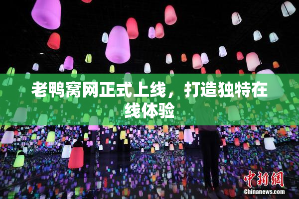 老鸭窝网正式上线，打造独特在线体验