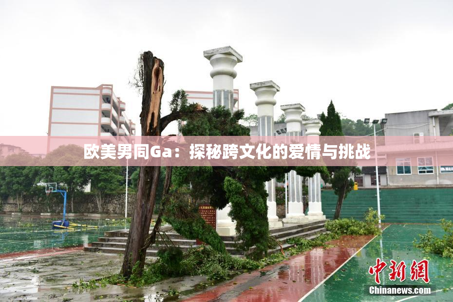 欧美男同Ga：探秘跨文化的爱情与挑战