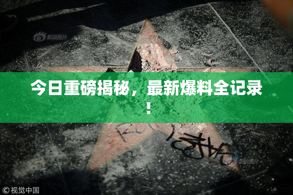 今日重磅揭秘，最新爆料全记录！
