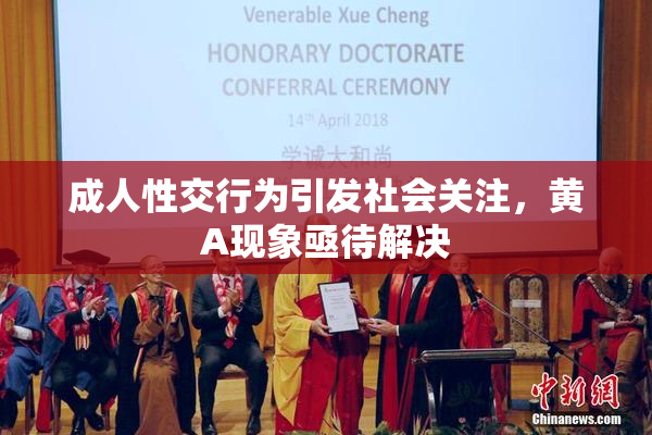 成人性交行为引发社会关注，黄A现象亟待解决
