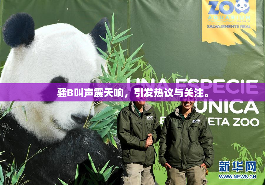 骚B叫声震天响，引发热议与关注。