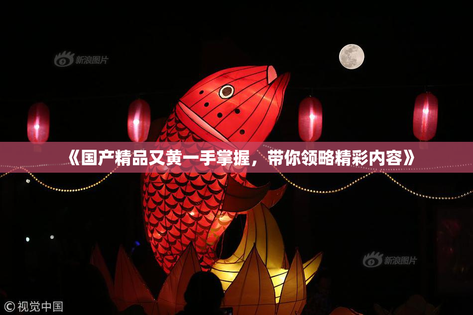 《国产精品又黄一手掌握，带你领略精彩内容》