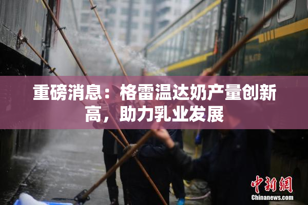 重磅消息：格雷温达奶产量创新高，助力乳业发展