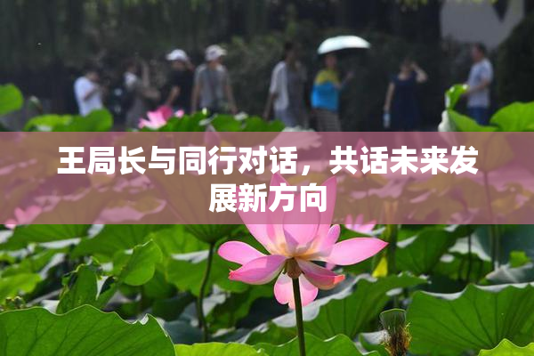 王局长与同行对话，共话未来发展新方向