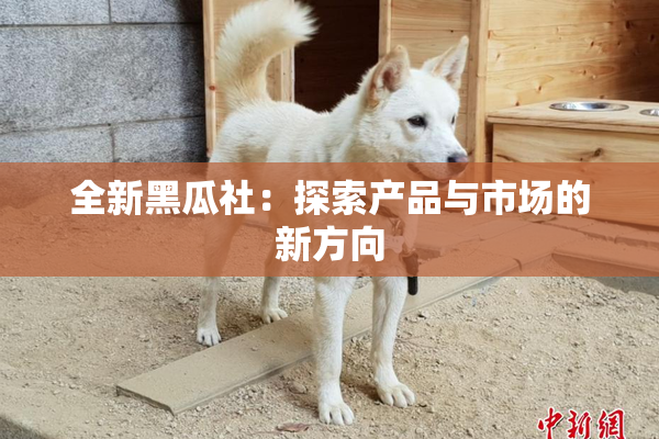 全新黑瓜社：探索产品与市场的新方向