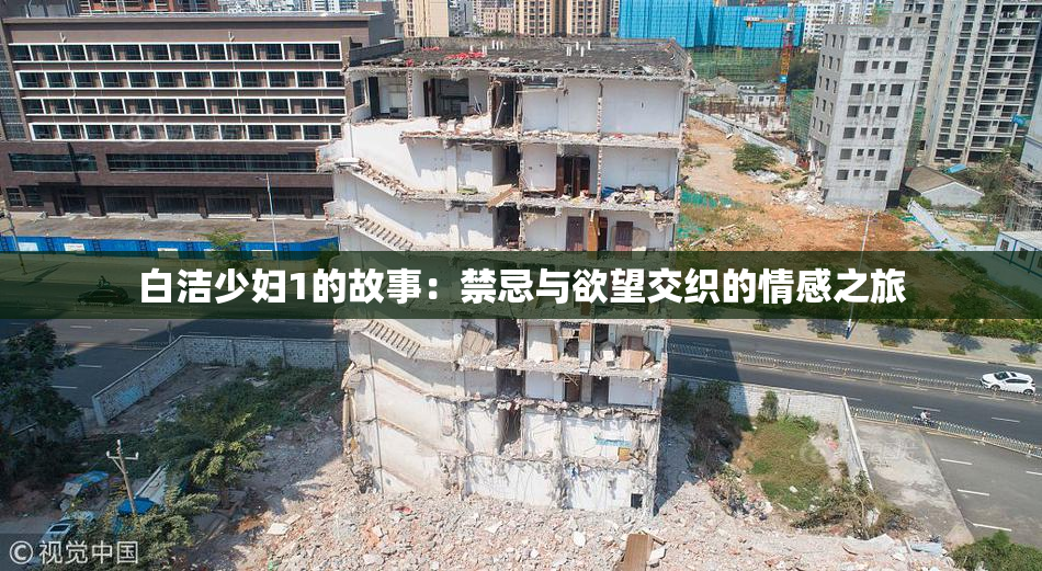 白洁少妇1的故事：禁忌与欲望交织的情感之旅