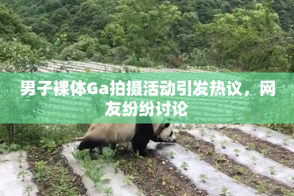 男子裸体Ga拍摄活动引发热议，网友纷纷讨论