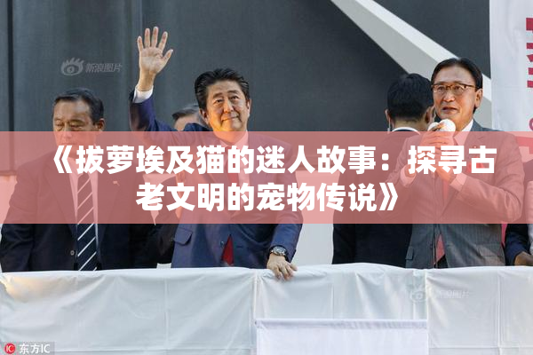 《拔萝埃及猫的迷人故事：探寻古老文明的宠物传说》