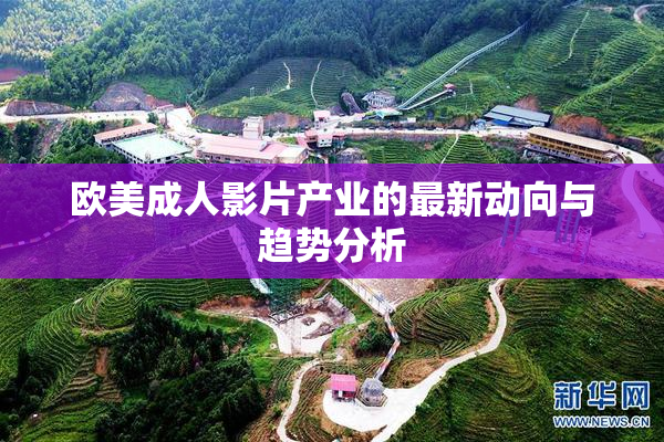 欧美成人影片产业的最新动向与趋势分析