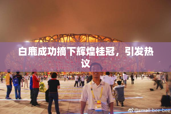 白鹿成功摘下辉煌桂冠，引发热议