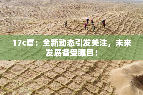17c官：全新动态引发关注，未来发展备受瞩目！