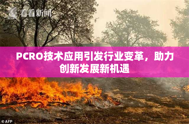 PCRO技术应用引发行业变革，助力创新发展新机遇