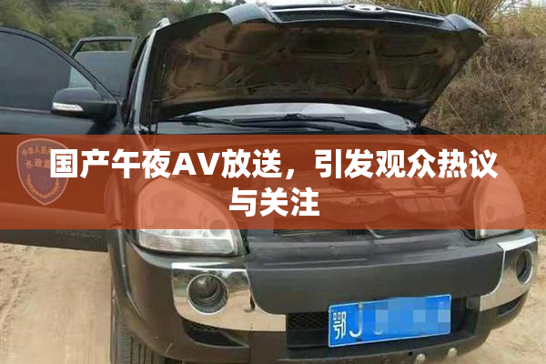 国产午夜AV放送，引发观众热议与关注