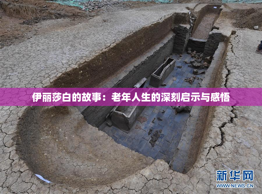 伊丽莎白的故事：老年人生的深刻启示与感悟