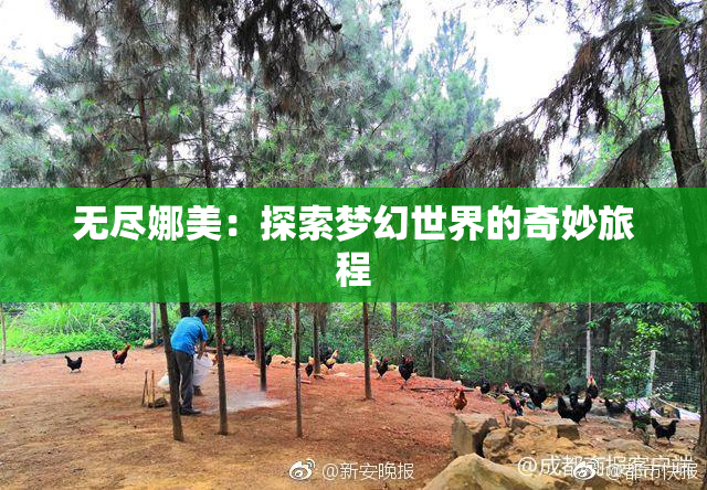 无尽娜美：探索梦幻世界的奇妙旅程